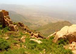 دالانی