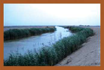 نهرخیّن