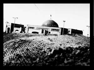 چه كنم ديگه؟ منم دلم خوشه به اين يه مشت خاك. چه‌قدر خوب شد اين خاك‌ها رو آوردم...