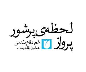 لحظه ی پر شور پرواز