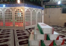 میزبانی از شقایق های خونین
