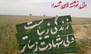 من فرزند صلح هستم
