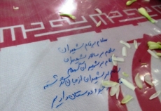 بدون عنوان