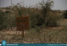 سَلَامٌ عَلَىٰ إِبْرَاهِيمَ