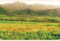 چشم در چشم کانی مانگا/ قبله اینجا آسمان است