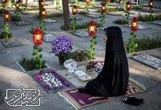 سالی به رنگ شهدا